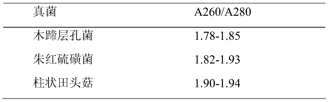 Method for extracting total DNA (deoxyribonucleic acid) of fungal hyphae