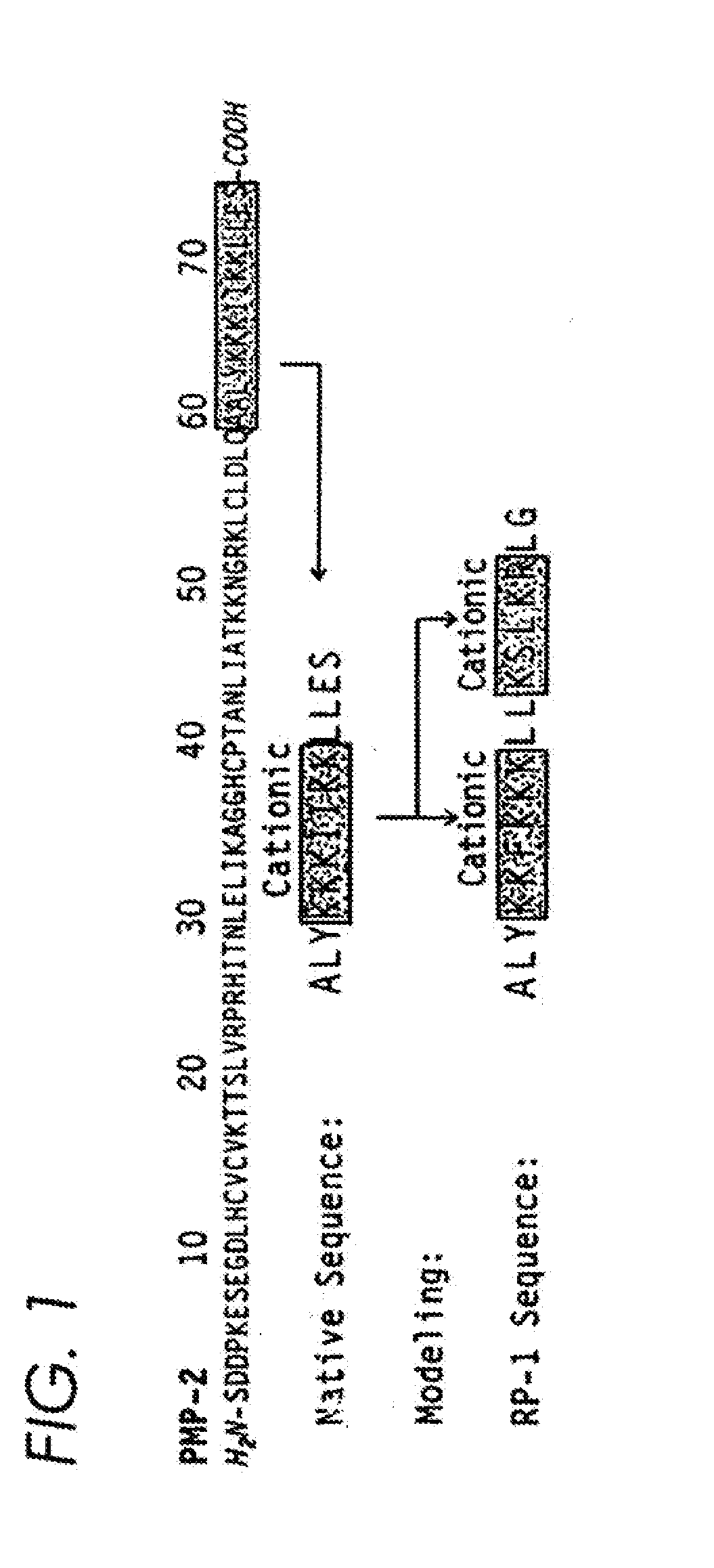 Antimicrobial peptides and derived metapeptides