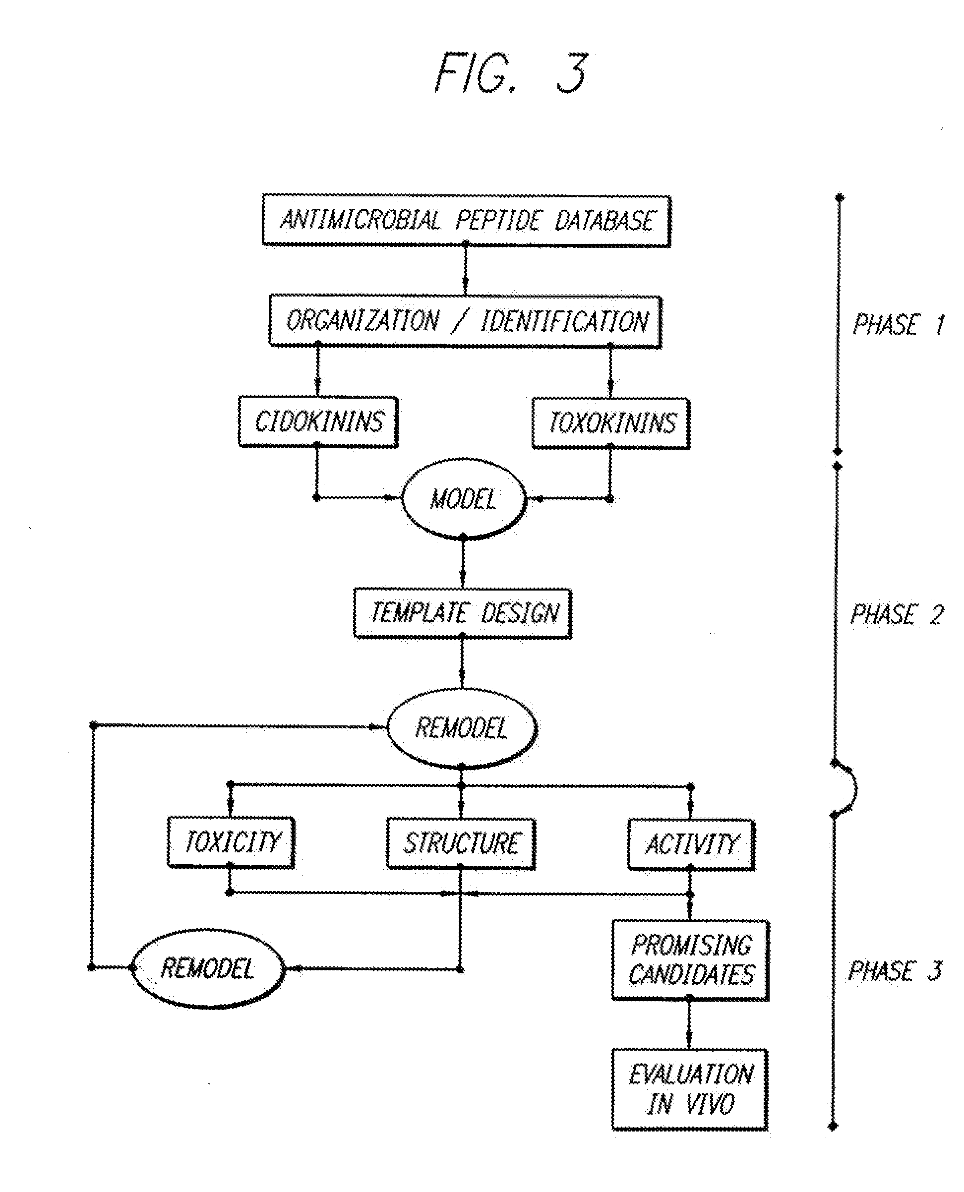 Antimicrobial peptides and derived metapeptides