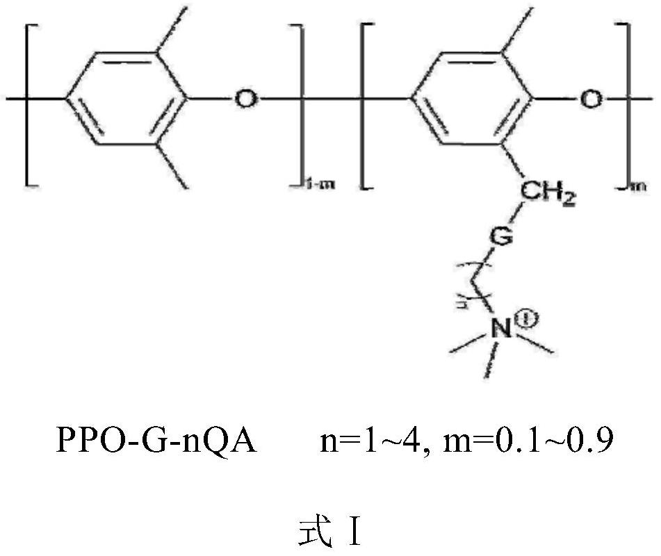 Triazolyl long side chain-containing polyphenyl ether anion membrane as well as preparation method and application thereof