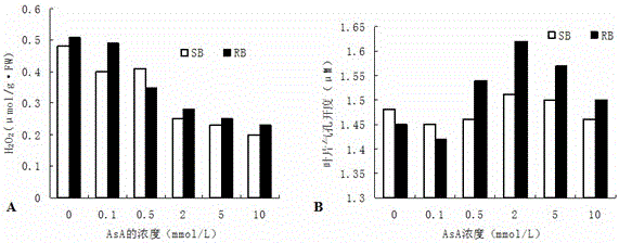 Application of Ascorbic Acid in Improving Plant Photosynthetic Efficiency