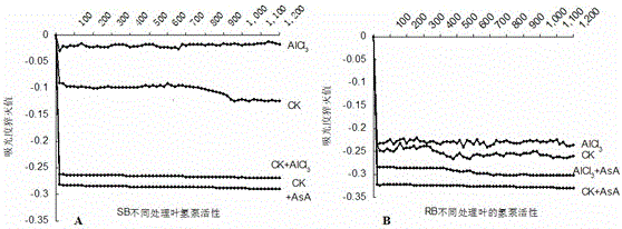 Application of Ascorbic Acid in Improving Plant Photosynthetic Efficiency