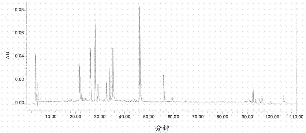 Method for extracting natural anti-oxidizing substance from miracle fruit