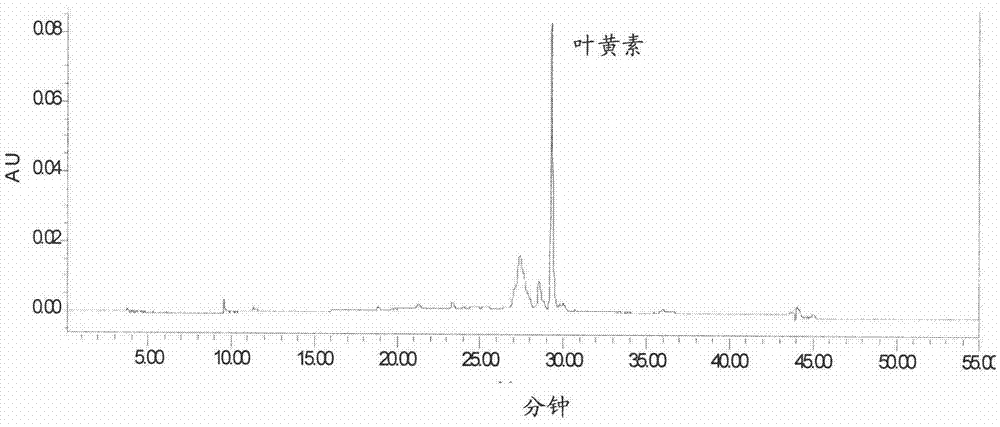 Method for extracting natural anti-oxidizing substance from miracle fruit