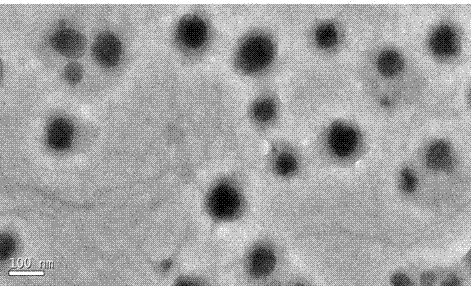 Reducibly degradable amphiphilic block copolymer and preparation and application of amphiphilic block copolymer used as drug carrier