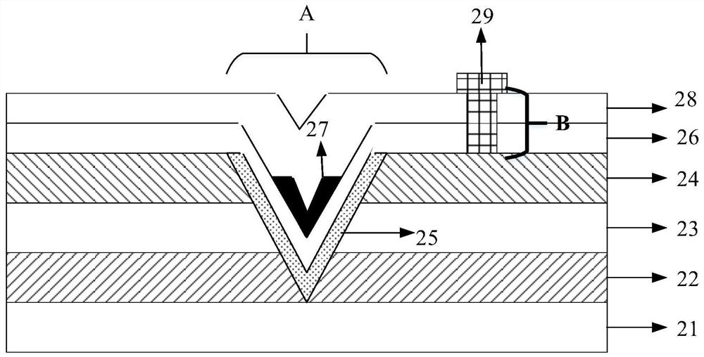 Display back plate, preparation method thereof and display device