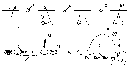 A Simple Detection Method of Alkaline Phosphatase Activity