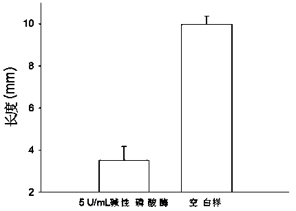 A Simple Detection Method of Alkaline Phosphatase Activity