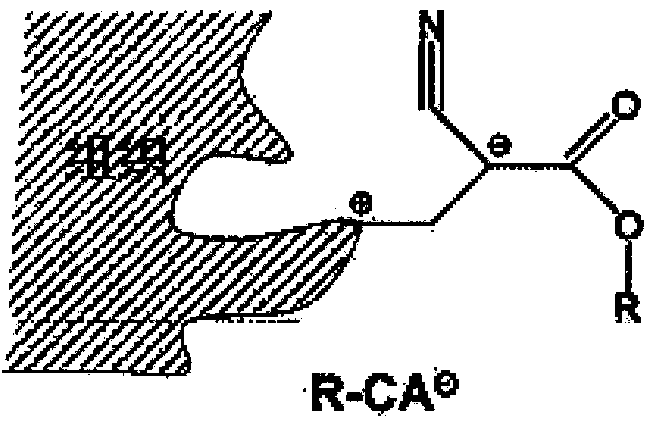 Poly(octyl cyanoacrylate)-olyisobutylene polymer conetwork, method for the production thereof and uses thereof