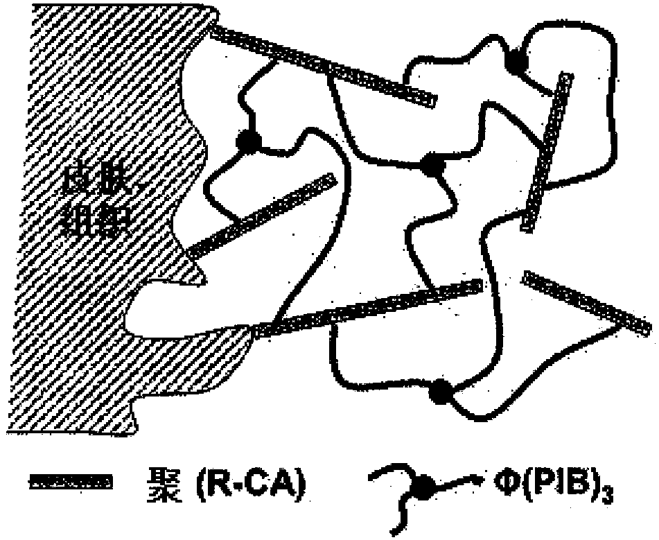 Poly(octyl cyanoacrylate)-olyisobutylene polymer conetwork, method for the production thereof and uses thereof