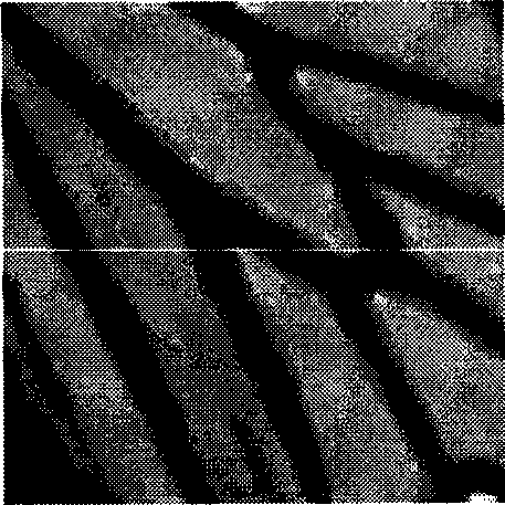 Image interpolation reconstruction method based on single low-resolution image