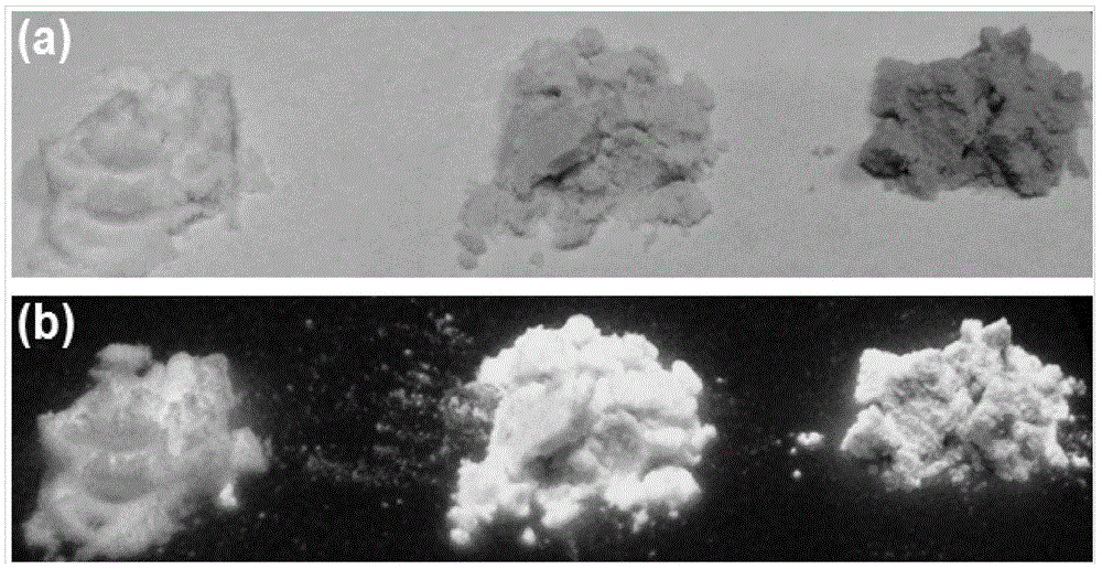 A kind of bio-based carbon nano-dot fluorescent powder and its preparation method and application