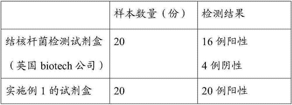 Kit and detection method for detecting mycobacterium tuberculosis infection