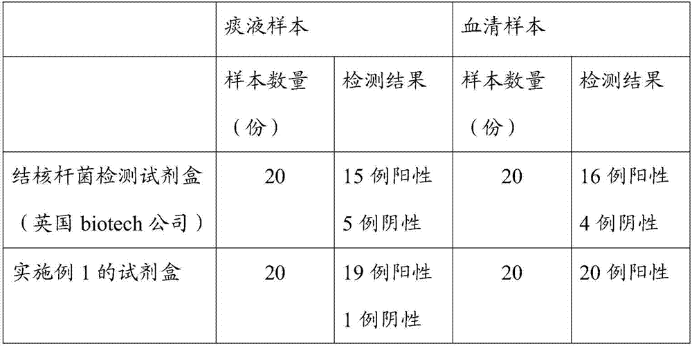 Kit and detection method for detecting mycobacterium tuberculosis infection