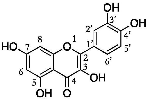 A kind of quercetin derivative and preparation method thereof