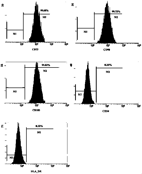 Human placenta mesenchymal stem cell suspension protection agent