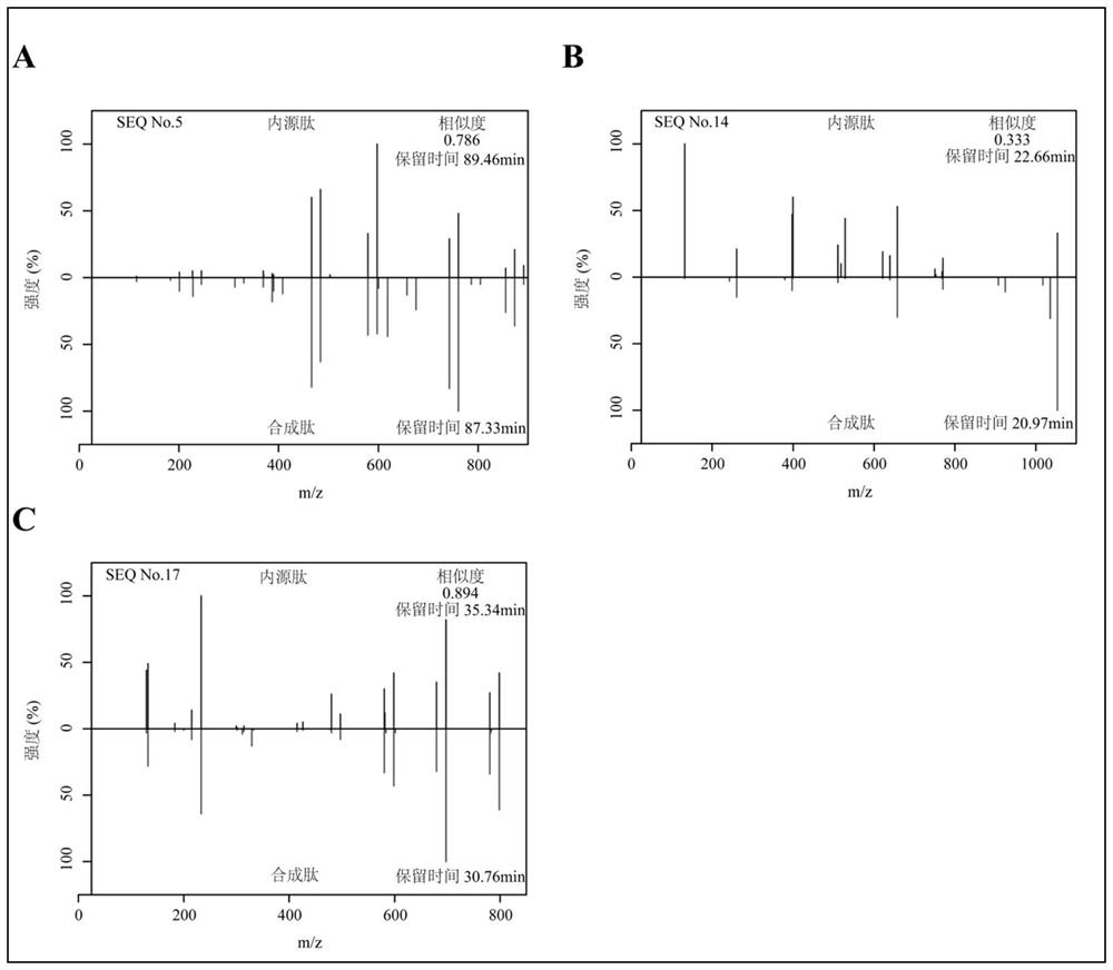 Antigen peptide related to colorectal cancer and application thereof