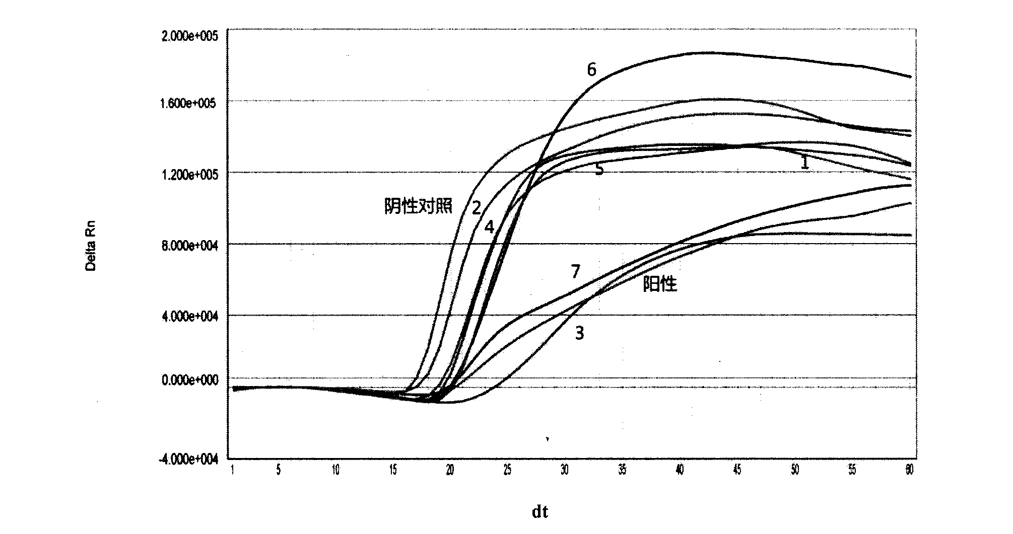 Coxsackie virus type A16 (CA16) real-time fluorescent nucleic acid isothermal amplification detection kit