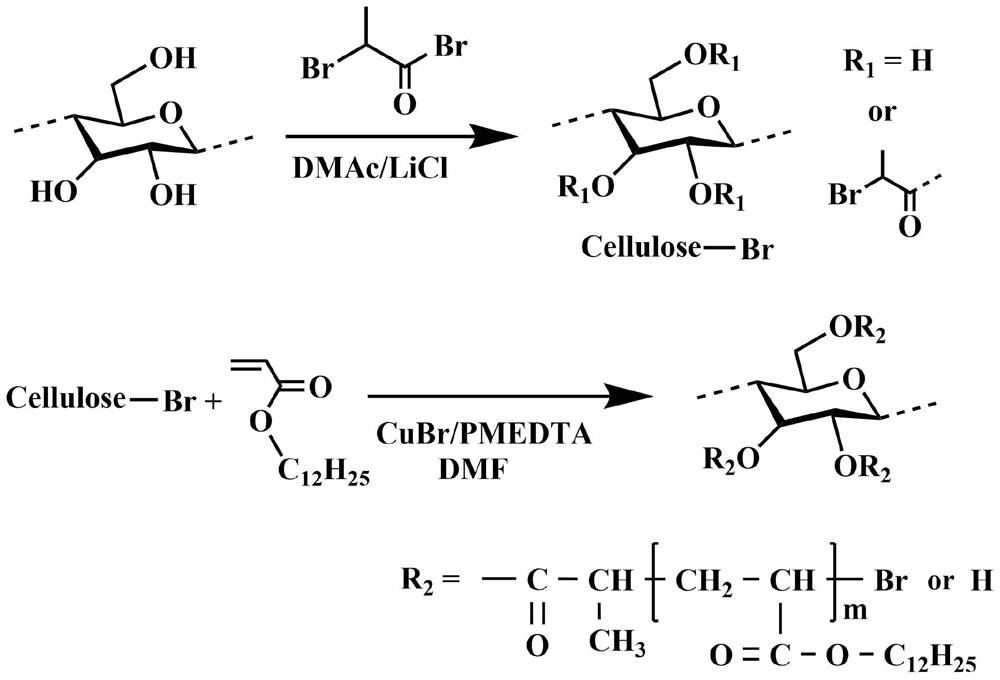 A kind of gn@cellulose-based solid-solid phase change material and its preparation method and application