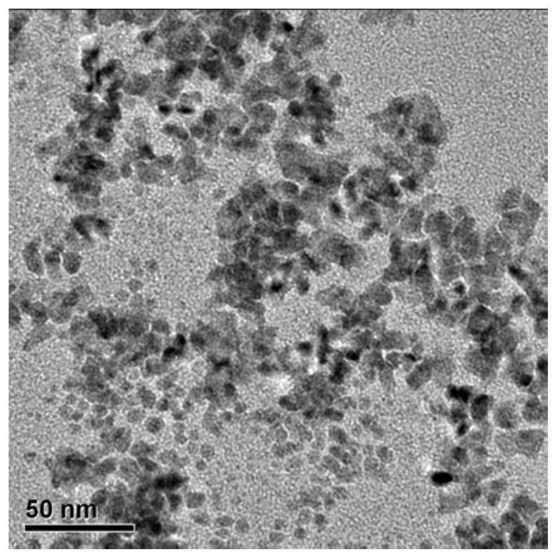 Synthesis of dicyandiamide modified palladium nano-catalyst and application of dicyandiamide modified palladium nano-catalyst in catalyzing semi-hydrogenation of phenylacetylene