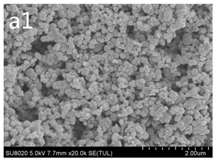 A kind of immunomagnetic beads and its preparation method and application