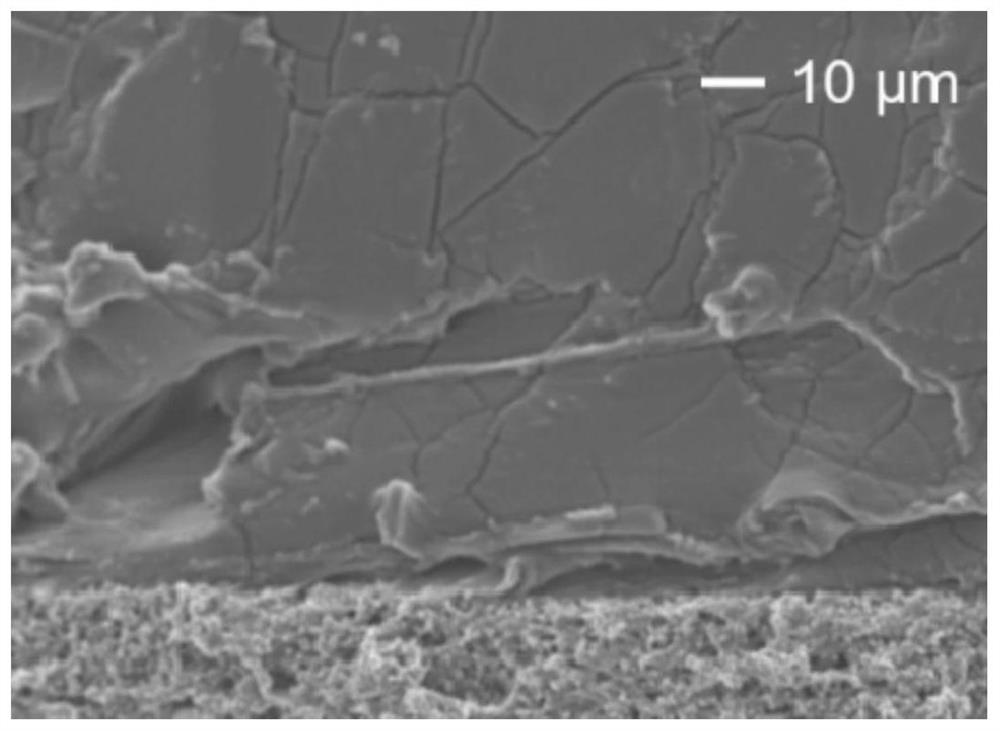 Elastomer epoxy resin-based all-solid-state electrolyte as well as preparation method and application thereof