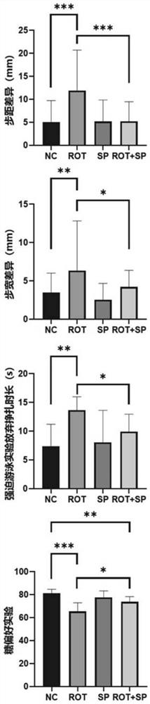 Application of sodium phenylbutyrate in preparation of medicine for preventing or treating Parkinson's disease