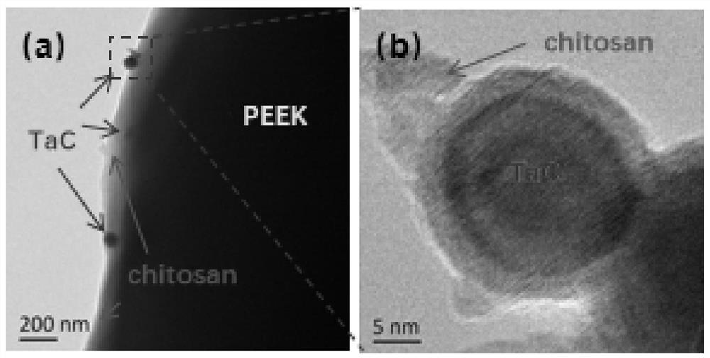 Tantalum carbide reinforced polyether-ether-ketone composite coating and preparation method and application thereof