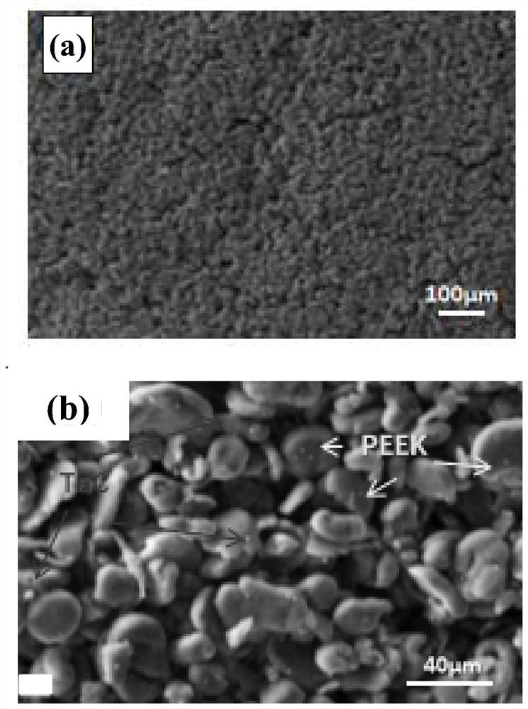 Tantalum carbide reinforced polyether-ether-ketone composite coating and preparation method and application thereof