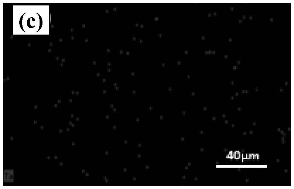 Tantalum carbide reinforced polyether-ether-ketone composite coating and preparation method and application thereof