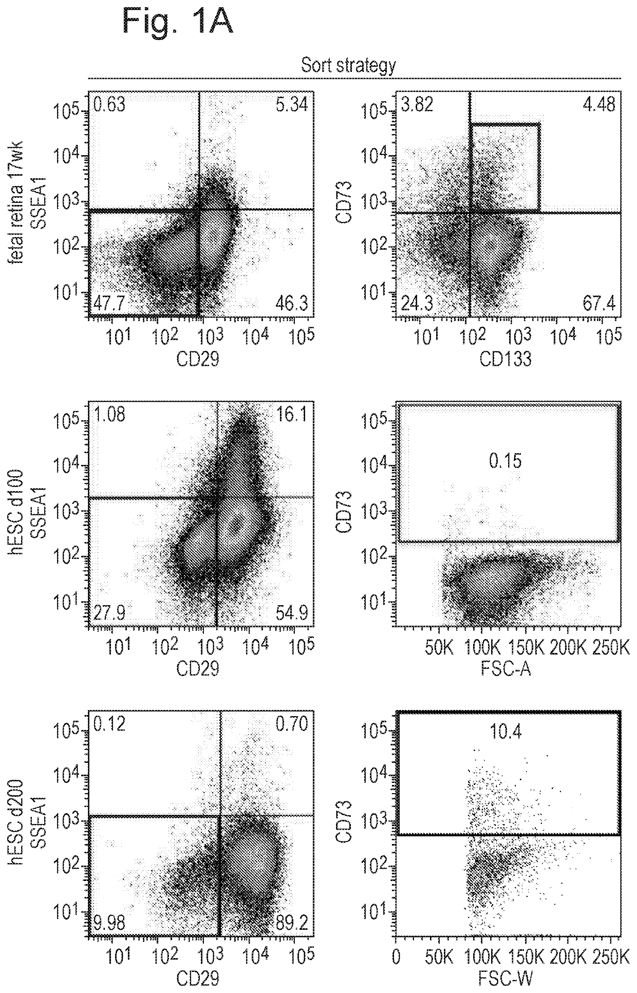 Biomarkers for photoreceptor cells