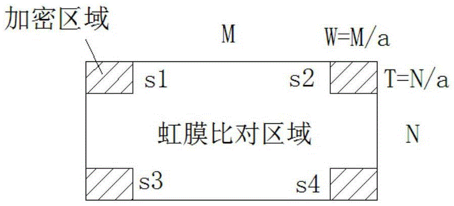 Production method and equipment of fake iris template and identity authentication method and equipment