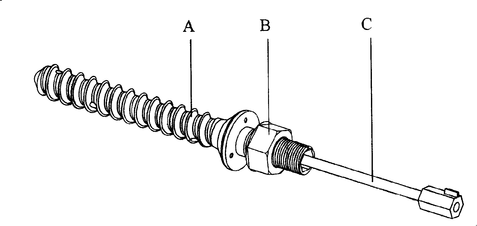 Hollow, side hole, directional perfusion cervical pedicle bolt