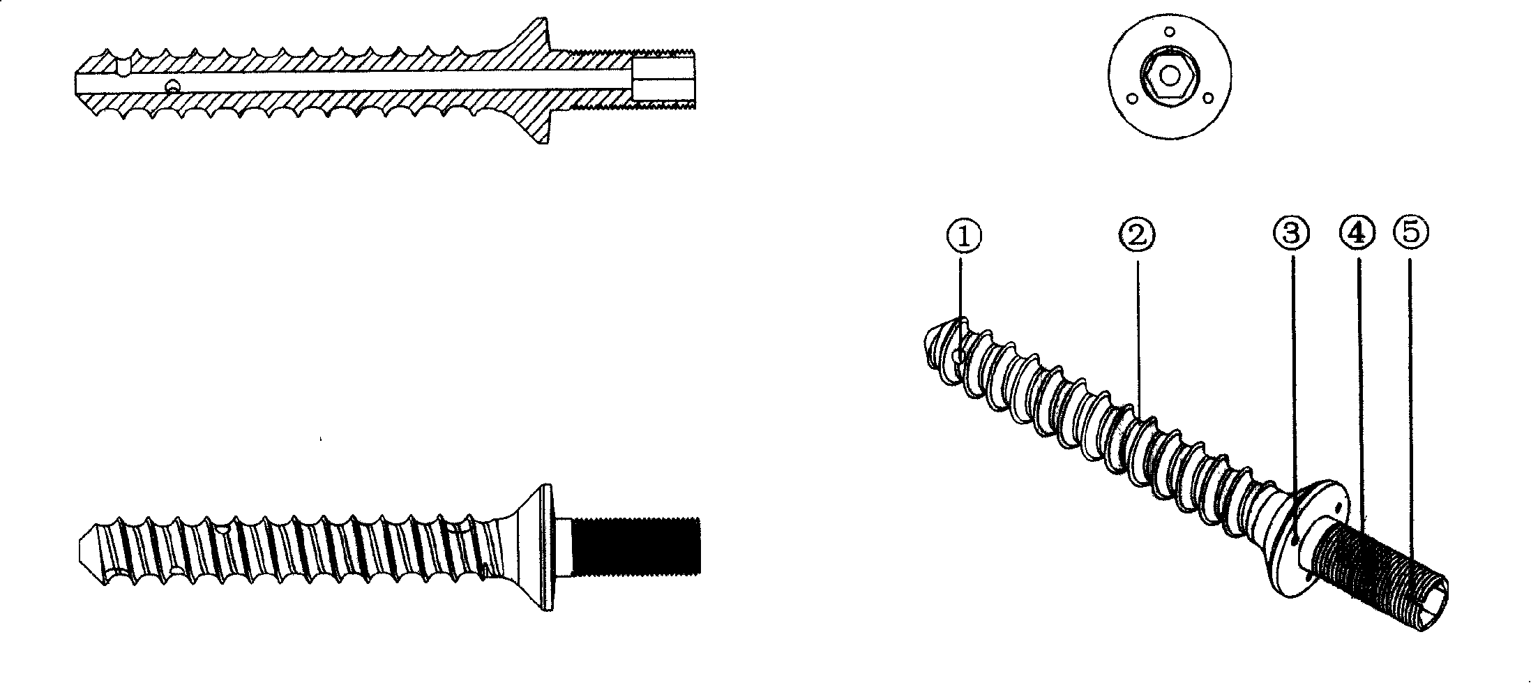 Hollow, side hole, directional perfusion cervical pedicle bolt