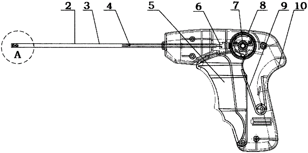 Titanium nail and soft tissue fixation device containing titanium nail