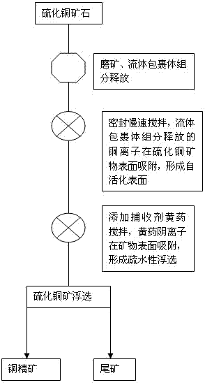 Self-activation flotation method for component of fluid inclusion of copper sulfide ore