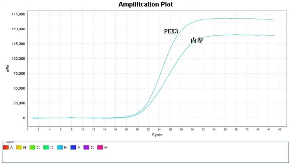 Kit for evaluating treatment sensitivity and/or drug resistance of apatinib