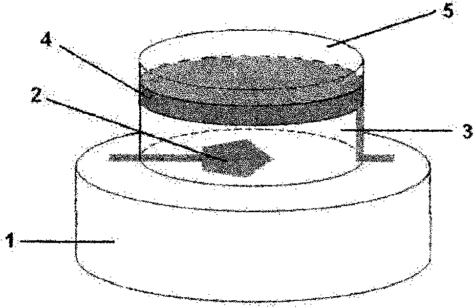 Piezoelectric film bulk acoustic wave sensor with polygonal electrodes