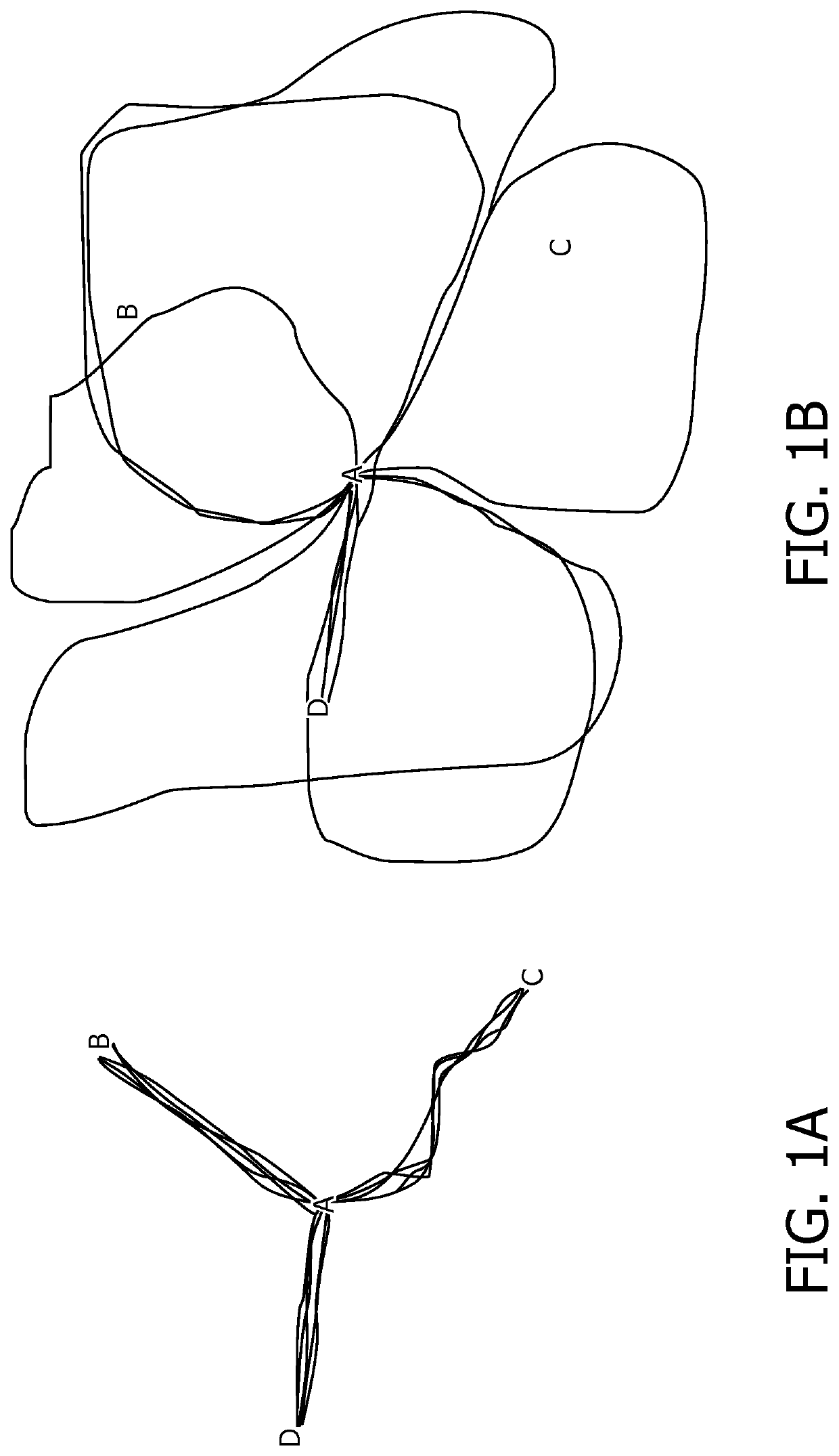 Ambulatory path geometric evaluation