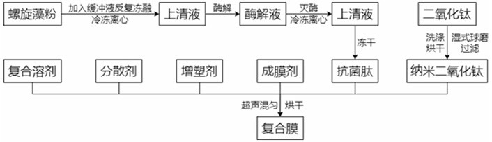 Preparation method of spirulina antibacterial peptide composite membrane