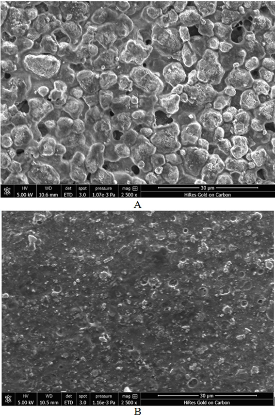 Preparation method of spirulina antibacterial peptide composite membrane