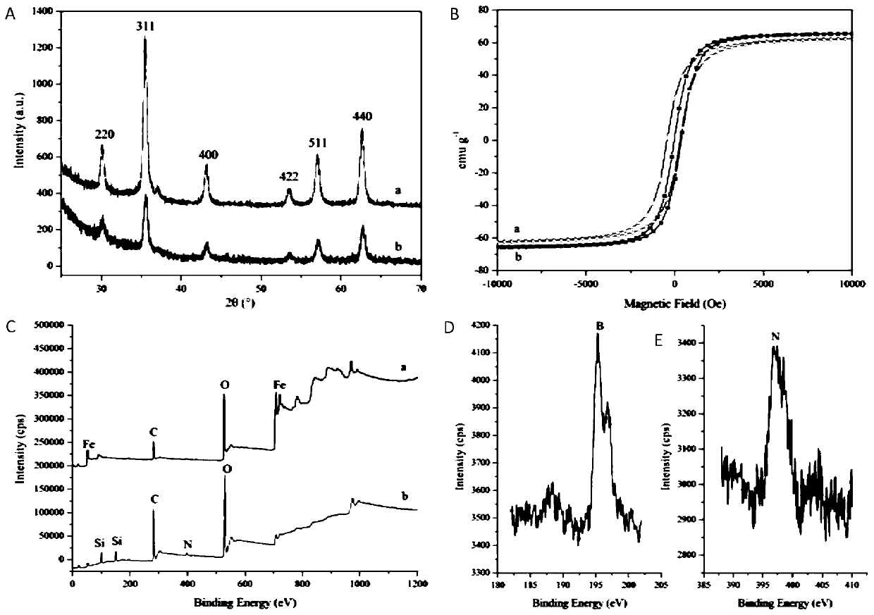 Preparation method and application of targeted enzyme immobilized carrier based on magnetic molecular imprinting technology