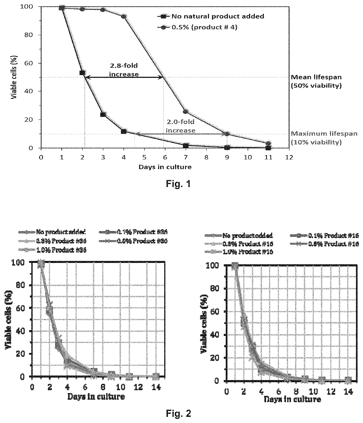 Anti-aging composition comprising a plant extract