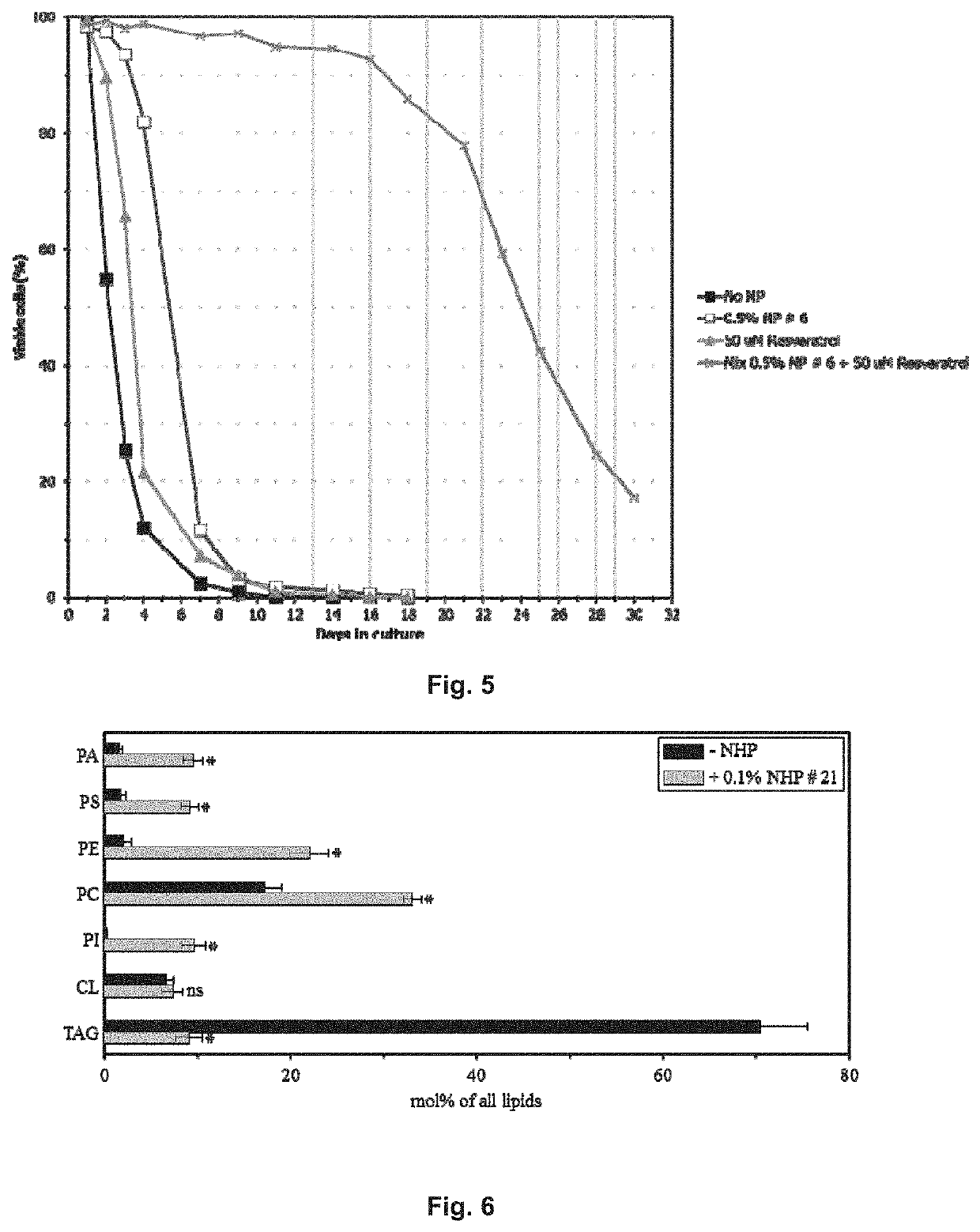 Anti-aging composition comprising a plant extract