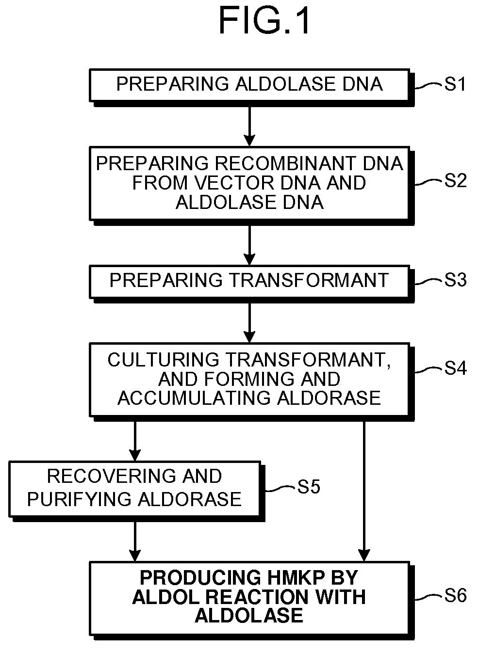 Aldolase and production process of 4-hydroxy-L-isoleucine