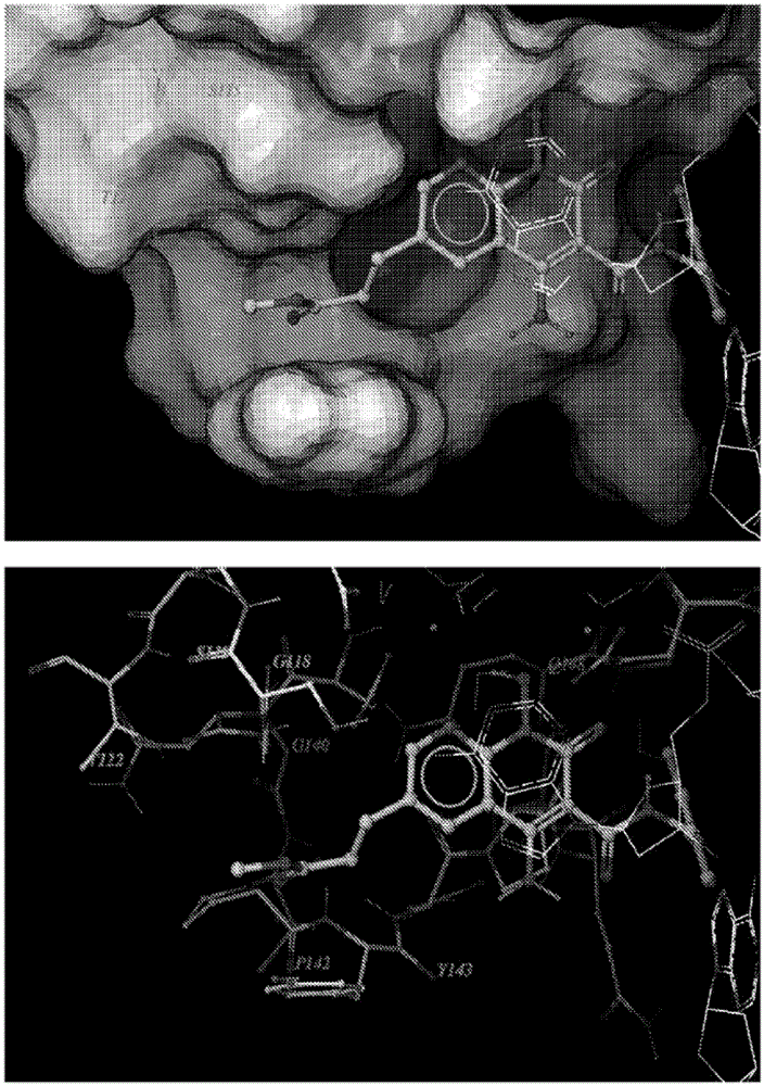 Compounds for inhibiting drug-resistant strains of HIV-1 integrase