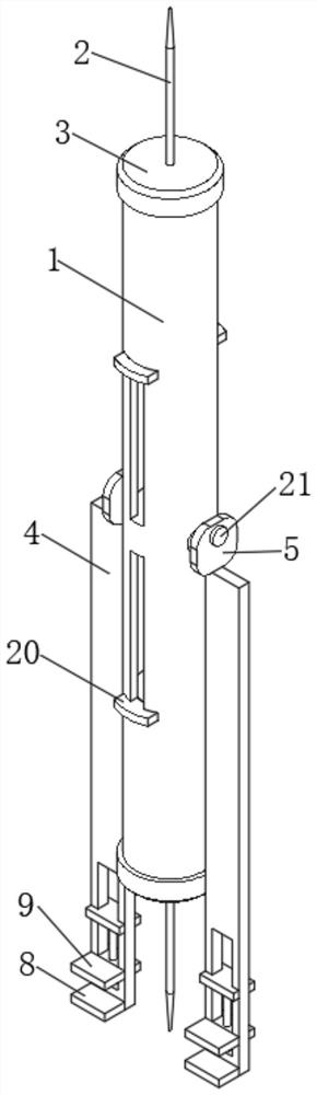 Disposable double-end bloodletting device for bloodletting therapy for treating ear gout