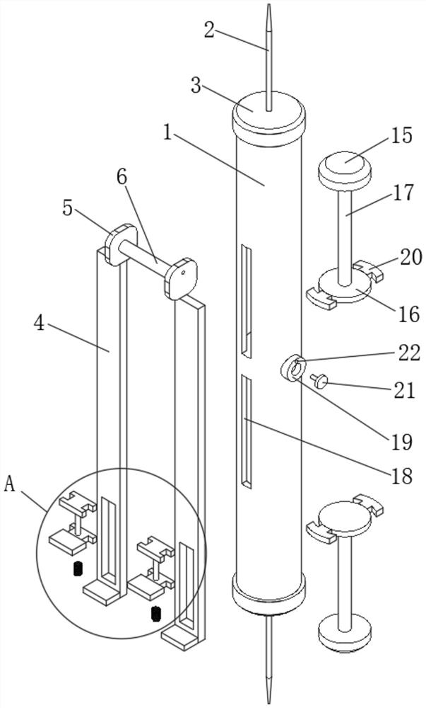 Disposable double-end bloodletting device for bloodletting therapy for treating ear gout