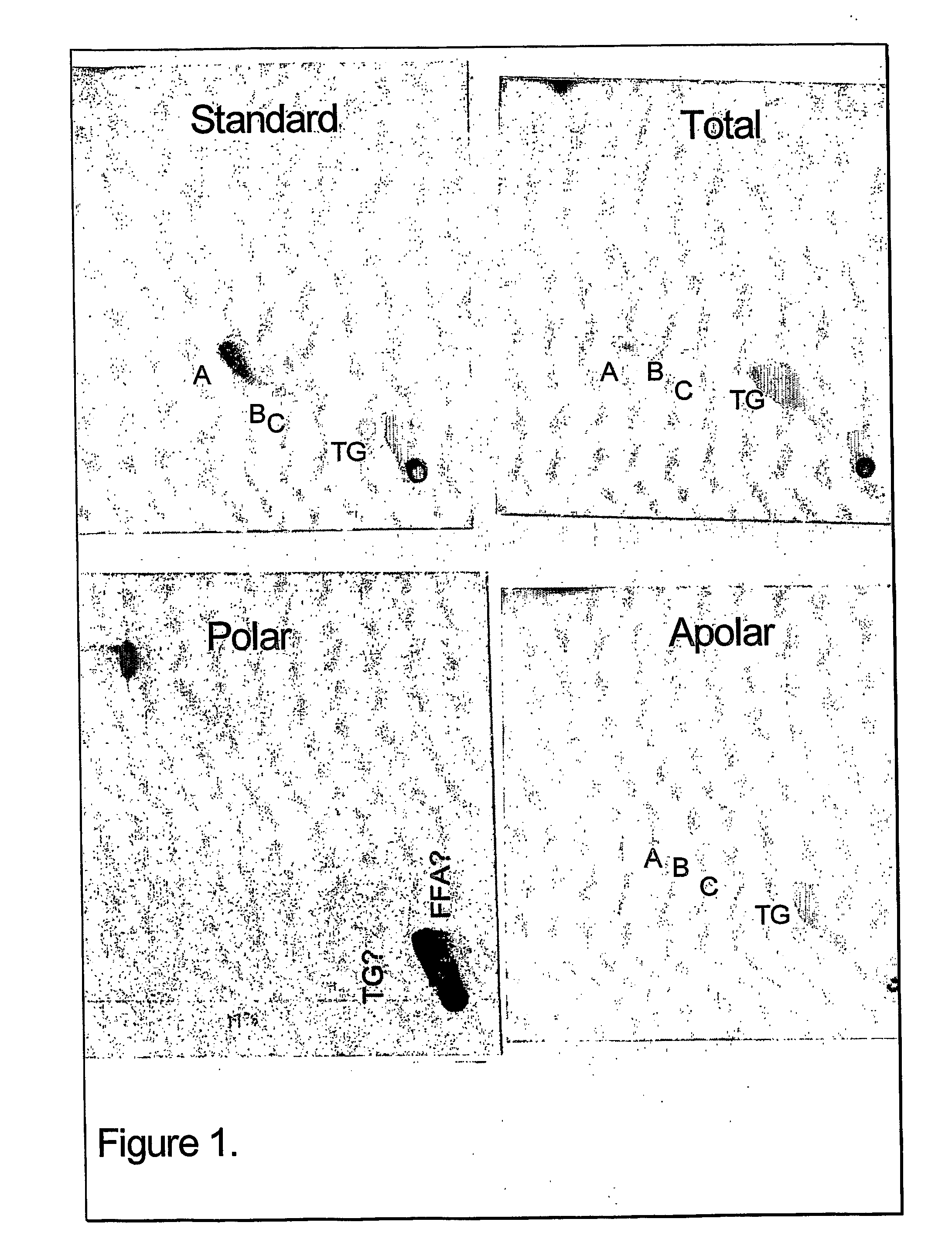 Adjuvant combinations of liposomes and mycobacteriaial lipids for immunization compositions and vaccines