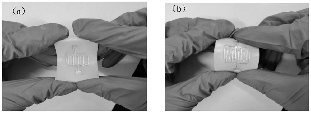 Method for preparing interdigital chip type miniature supercapacitor through 3D printing technology